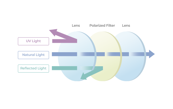 EyesGram - Info Lenses